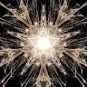 Meet your Posher, Beau